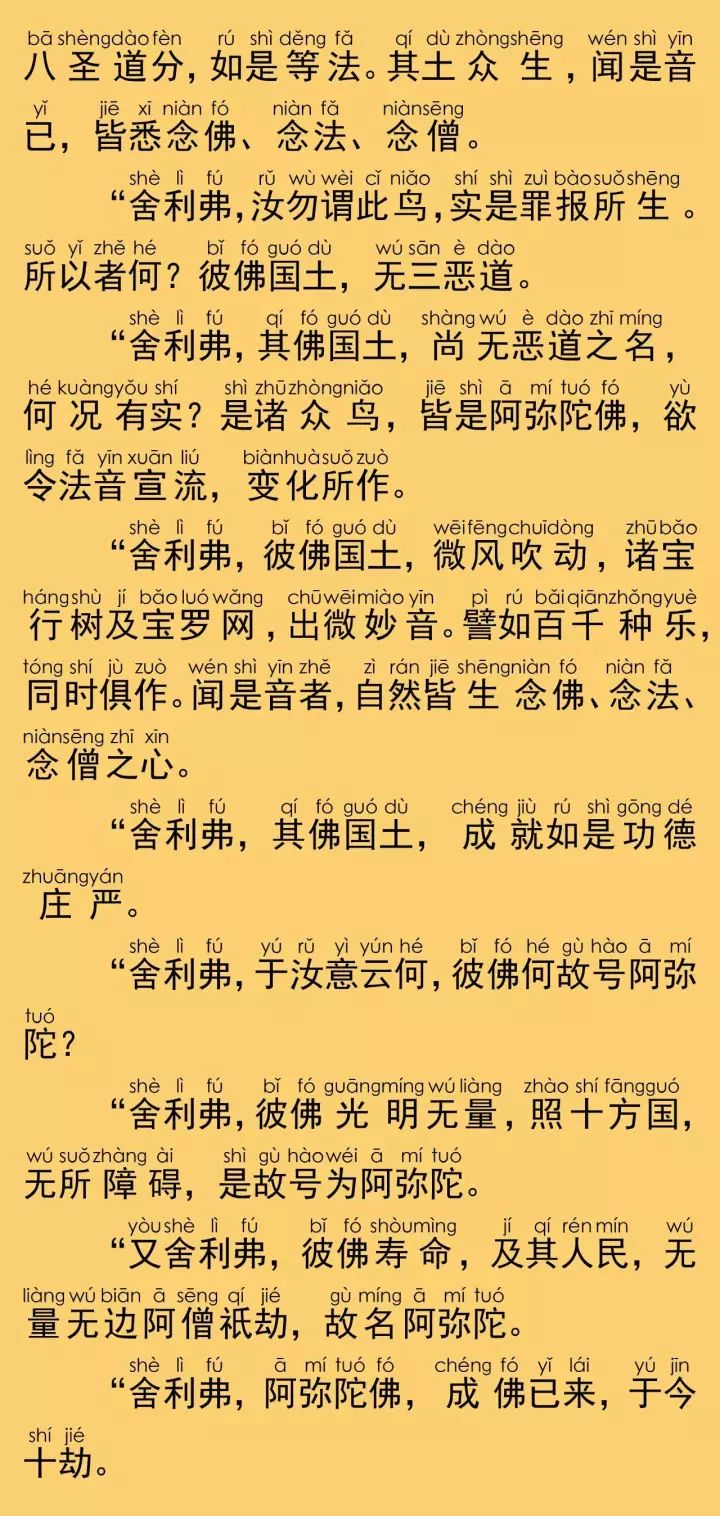 佛說阿彌陀經全文注音圖片三